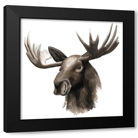 Western Animal Study III Black Modern Wood Framed Art Print with Double Matting by Popp, Grace
