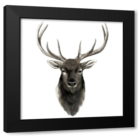 Western Animal Study V Black Modern Wood Framed Art Print with Double Matting by Popp, Grace