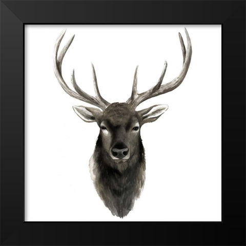 Western Animal Study V Black Modern Wood Framed Art Print by Popp, Grace
