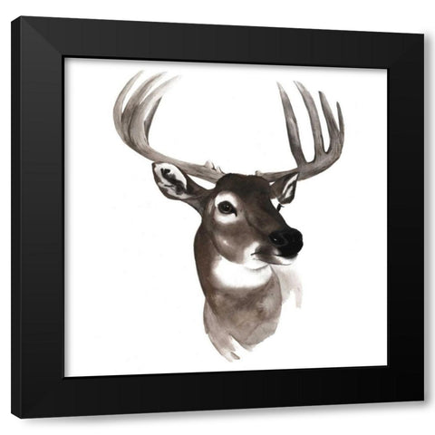 Western Animal Study VI Black Modern Wood Framed Art Print with Double Matting by Popp, Grace