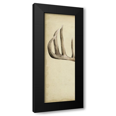 Triptych Whitetail I Black Modern Wood Framed Art Print with Double Matting by Popp, Grace