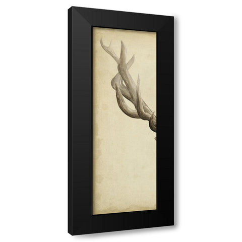 Triptych Elk I Black Modern Wood Framed Art Print with Double Matting by Popp, Grace