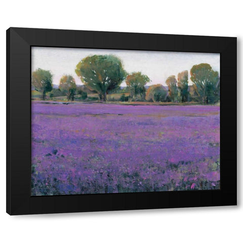 Lavender Field I Black Modern Wood Framed Art Print with Double Matting by OToole, Tim