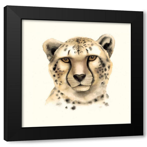 Safari Cat IV Black Modern Wood Framed Art Print with Double Matting by Popp, Grace