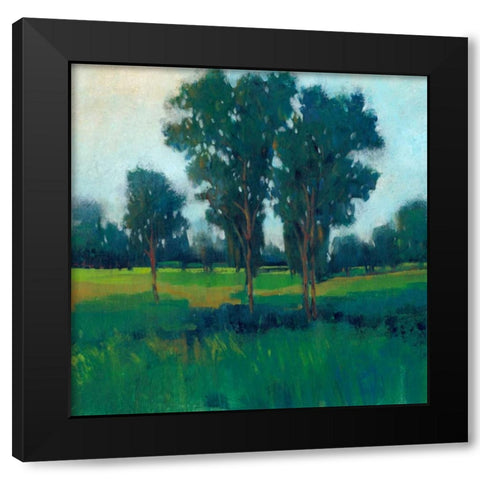 Afternoon Sun II Black Modern Wood Framed Art Print with Double Matting by OToole, Tim