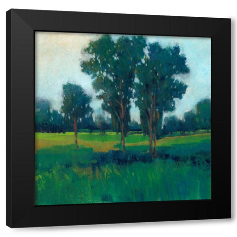 Afternoon Sun II Black Modern Wood Framed Art Print by OToole, Tim