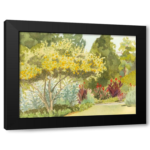 Plein Air Garden VI Black Modern Wood Framed Art Print with Double Matting by Miller, Dianne