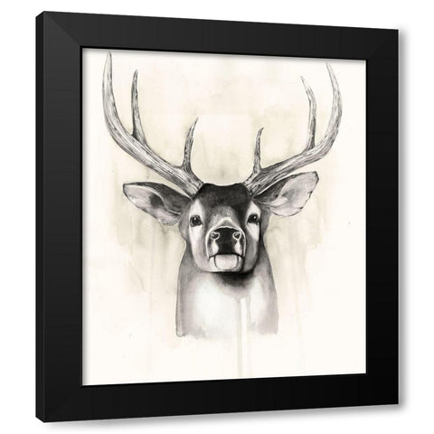 Timberland Animals II Black Modern Wood Framed Art Print with Double Matting by Popp, Grace