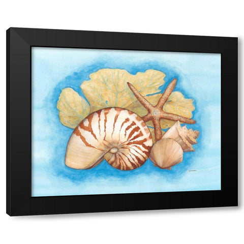 Seashells and Seafan I Black Modern Wood Framed Art Print by Russell, Wendy