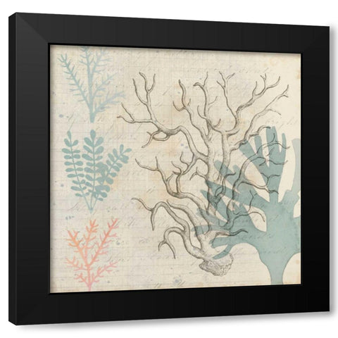 Sea Ephemera II Black Modern Wood Framed Art Print with Double Matting by Popp, Grace