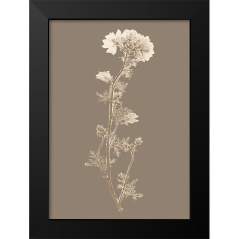 Taupe Nature Study I Custom Black Modern Wood Framed Art Print by Vision Studio