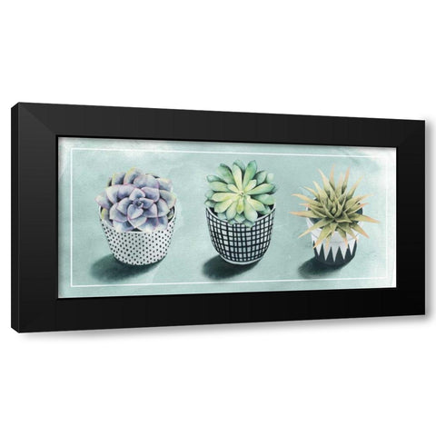 Succulent Love Collection C Black Modern Wood Framed Art Print with Double Matting by Popp, Grace