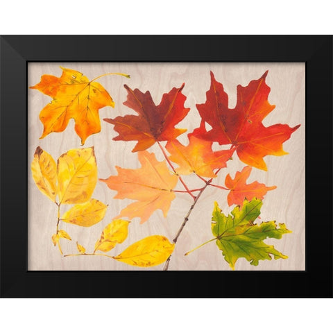 Autumn Leaves Collection A Black Modern Wood Framed Art Print by Miller, Dianne