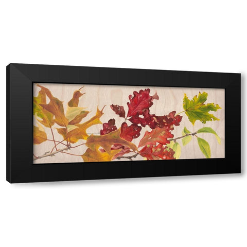 Autumn Leaves Collection D Black Modern Wood Framed Art Print with Double Matting by Miller, Dianne