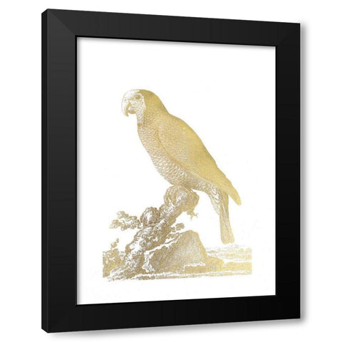 Gold Foil Parrot II Black Modern Wood Framed Art Print by Edwards