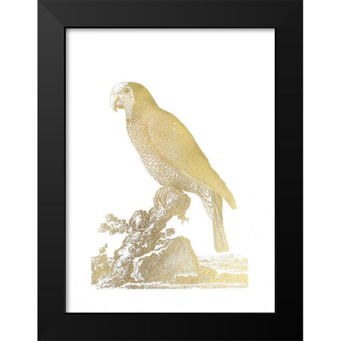 Gold Foil Parrot II Black Modern Wood Framed Art Print by Edwards