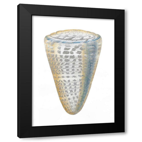 Silver Foil Shell I with Hand Color Black Modern Wood Framed Art Print by Vision Studio