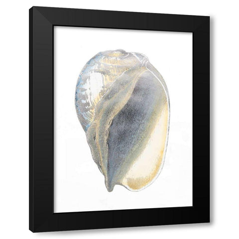 Silver Foil Shell IV with Hand Color Black Modern Wood Framed Art Print with Double Matting by Vision Studio