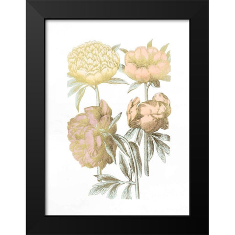 Gold Foil Chintz II with Hand Color Black Modern Wood Framed Art Print by Vision Studio