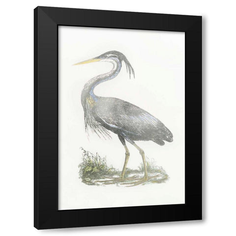 Silver Foil Heron II with Hand Color Black Modern Wood Framed Art Print with Double Matting by Selby, John