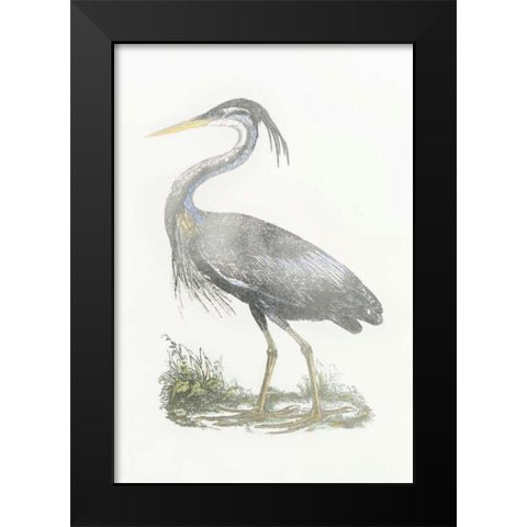 Silver Foil Heron II with Hand Color Black Modern Wood Framed Art Print by Selby, John