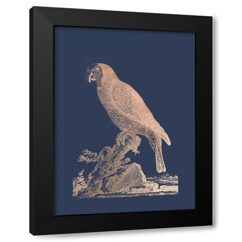 Rose Gold Foil Parrot II on Imperial Blue Black Modern Wood Framed Art Print by Edwards