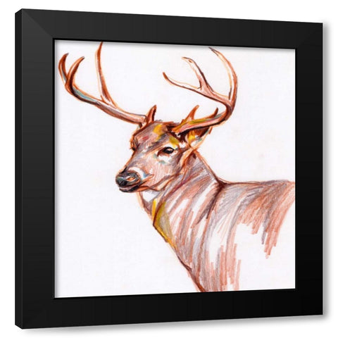 Deer in Pencil Black Modern Wood Framed Art Print with Double Matting by Seay, Anne