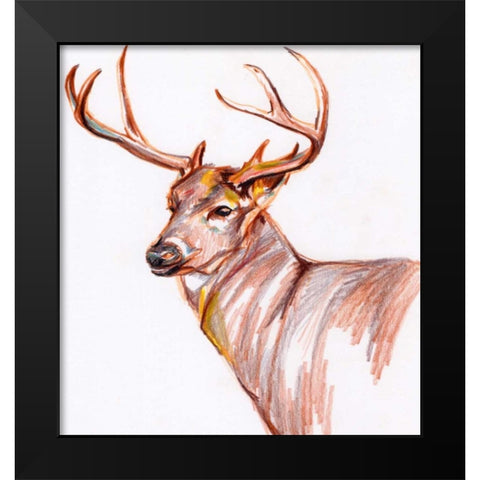 Deer in Pencil Black Modern Wood Framed Art Print by Seay, Anne