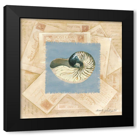 Shell Postcard Black Modern Wood Framed Art Print by Phillips, Anita