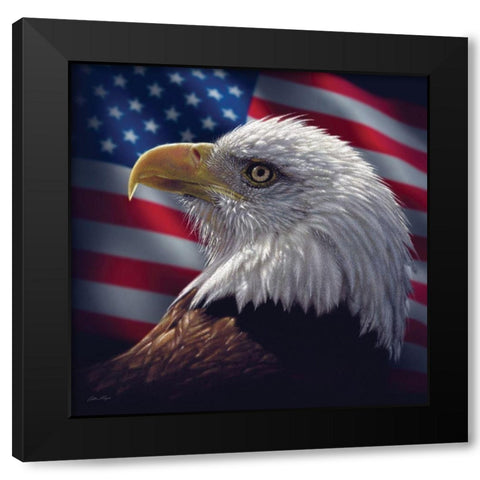 American Bald Eagle Black Modern Wood Framed Art Print with Double Matting by Bogle, Collin