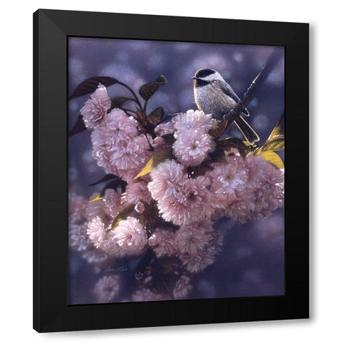 Black Capped Chickadee Black Modern Wood Framed Art Print by Bogle, Collin