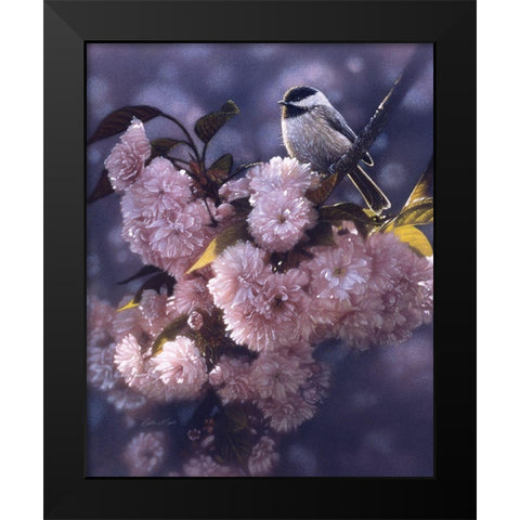 Black Capped Chickadee Black Modern Wood Framed Art Print by Bogle, Collin