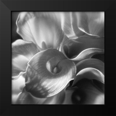 Calla Lillie Bouquet Black Modern Wood Framed Art Print by Bogle, Collin
