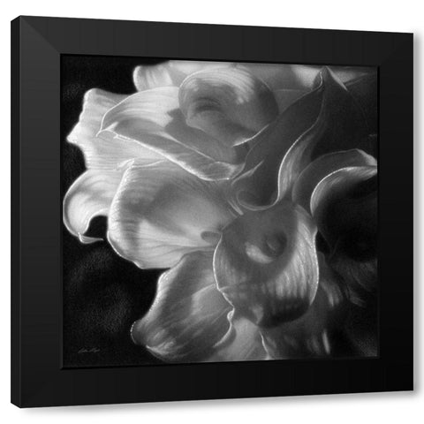 Calla Lilies - Emerging Dawn BandW Black Modern Wood Framed Art Print by Bogle, Collin