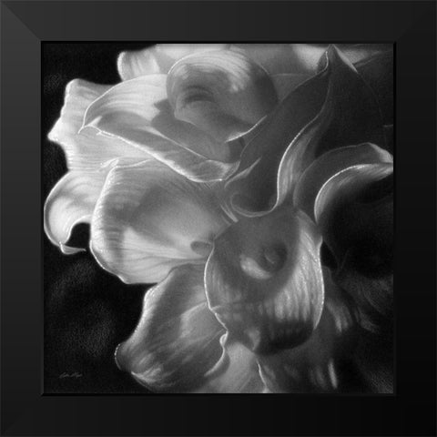 Calla Lilies - Emerging Dawn BandW Black Modern Wood Framed Art Print by Bogle, Collin