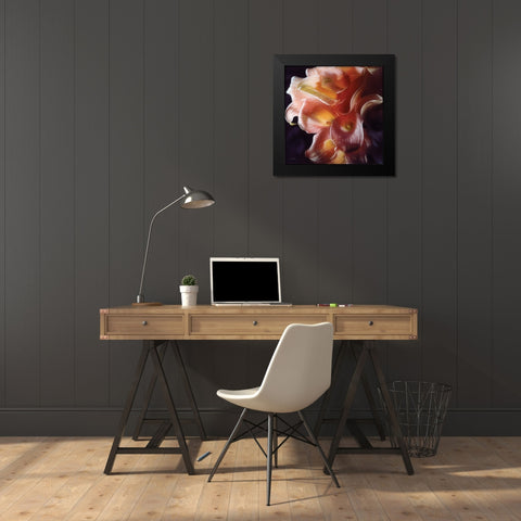 Calla Lilies - Emerging Dawn Black Modern Wood Framed Art Print by Bogle, Collin