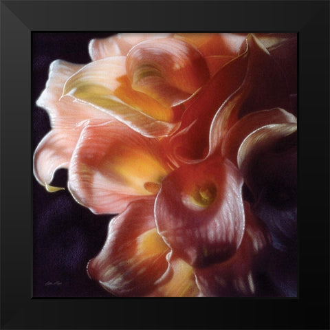 Calla Lilies - Emerging Dawn Black Modern Wood Framed Art Print by Bogle, Collin