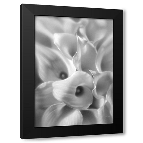 Calla Lilies Black Modern Wood Framed Art Print by Bogle, Collin