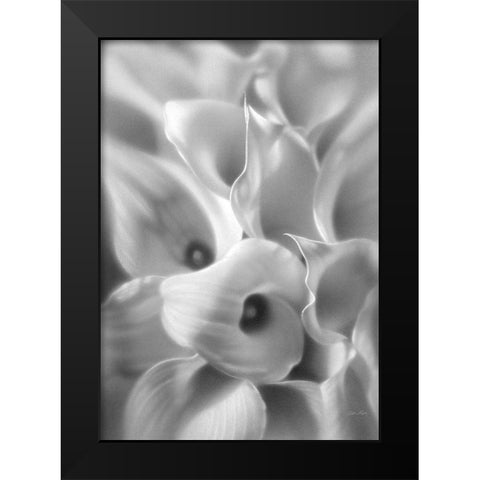 Calla Lilies Black Modern Wood Framed Art Print by Bogle, Collin