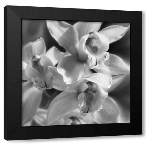 Orchids - BandW Black Modern Wood Framed Art Print with Double Matting by Bogle, Collin