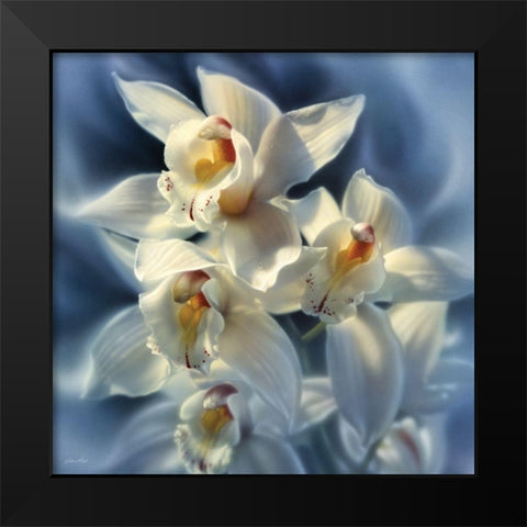 Orchids Black Modern Wood Framed Art Print by Bogle, Collin