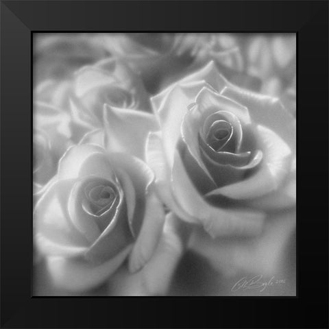 Rose Pair BandW Black Modern Wood Framed Art Print by Bogle, Collin