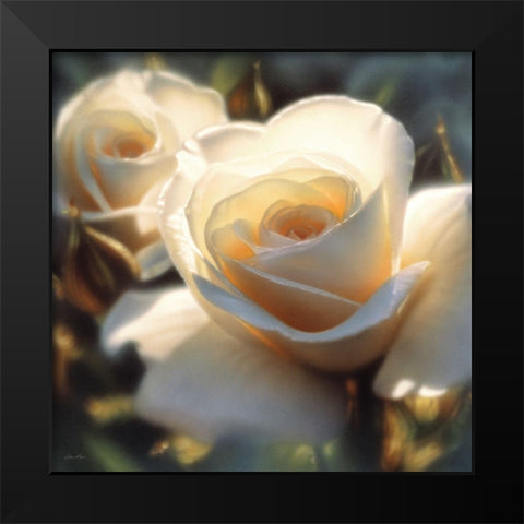 White Rose - Colors of White - Square Black Modern Wood Framed Art Print by Bogle, Collin