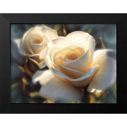 White Roses - Colors of White Black Modern Wood Framed Art Print by Bogle, Collin