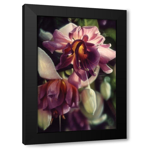 Fuchsia Black Modern Wood Framed Art Print by Bogle, Collin