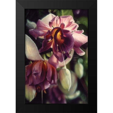 Fuchsia Black Modern Wood Framed Art Print by Bogle, Collin