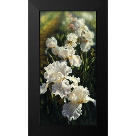 Iris Garden Black Modern Wood Framed Art Print by Bogle, Collin