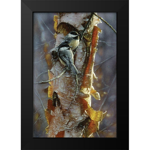 Black-Capped Chickadees - Sunlit Birch Black Modern Wood Framed Art Print by Bogle, Collin