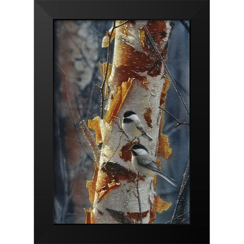 Black-Capped Chickadees - Sunlit Birch II Black Modern Wood Framed Art Print by Bogle, Collin
