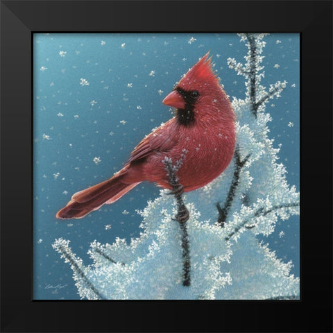 Cardinal - Cherry on Top Black Modern Wood Framed Art Print by Bogle, Collin